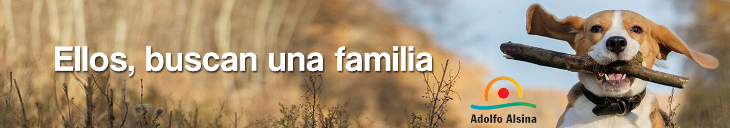 Mascotas en Adopción