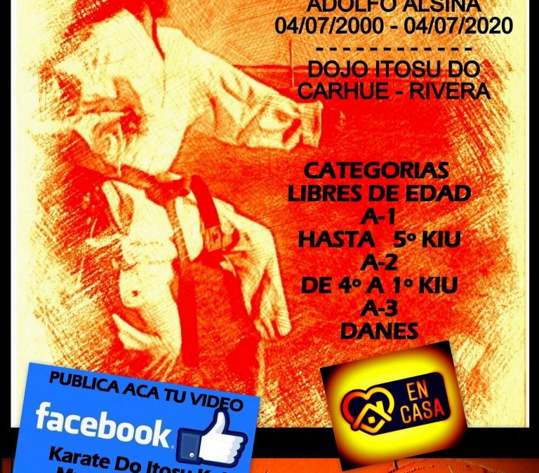 Karate: Primer Torneo Sudamericano de Kata Virtual