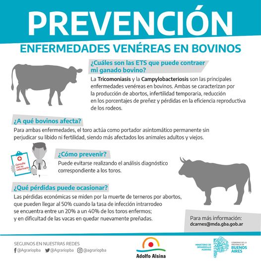 Sanidad Animal: campaña de prevención de enfermedades de transmisión sexual en bovinos
