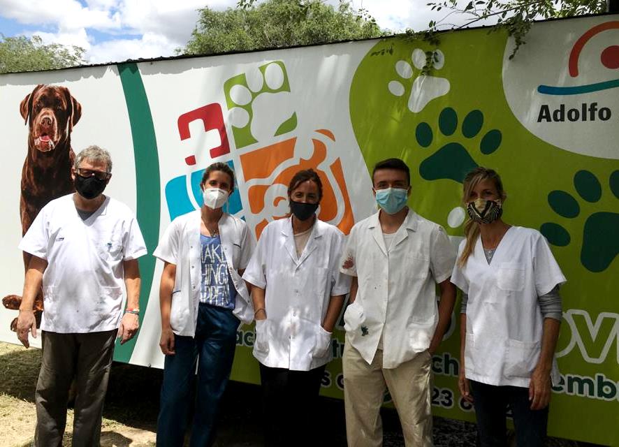 Castraciones gratuitas en Villa Azul Carhué. Se realizó la castración de 28 mascotas