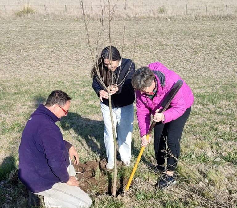 Rivera: acciones para celebrar el Día del Árbol
