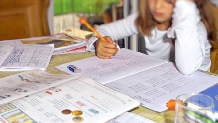 El dictado de clases particulares en Adolfo Alsina debe cumplir su protocolo